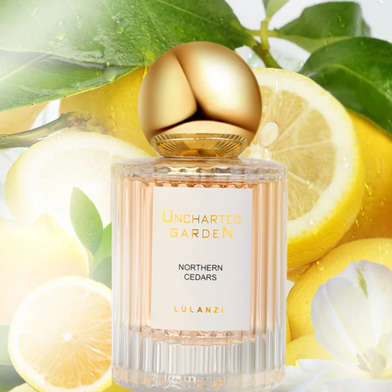 Perfume Elegante para Mulheres - Perfume Jasmine Fragrance avaliação e preço